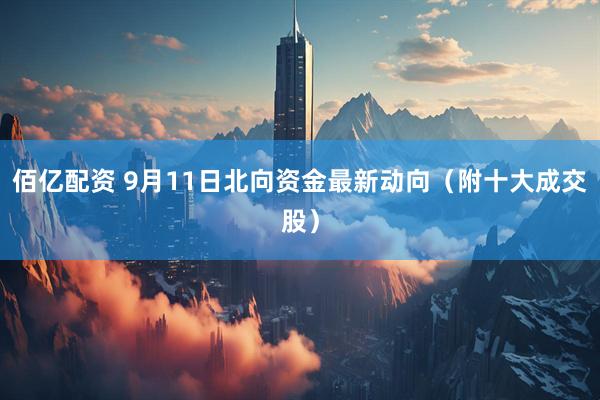佰亿配资 9月11日北向资金最新动向（附十大成交股）