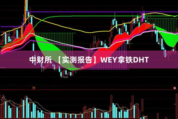 中财所 【实测报告】WEY拿铁DHT