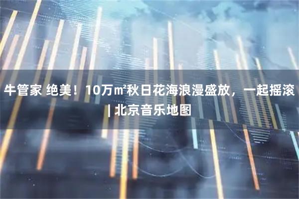 牛管家 绝美！10万㎡秋日花海浪漫盛放，一起摇滚| 北京音乐地图